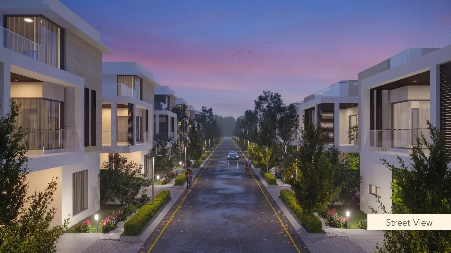 Street View_4