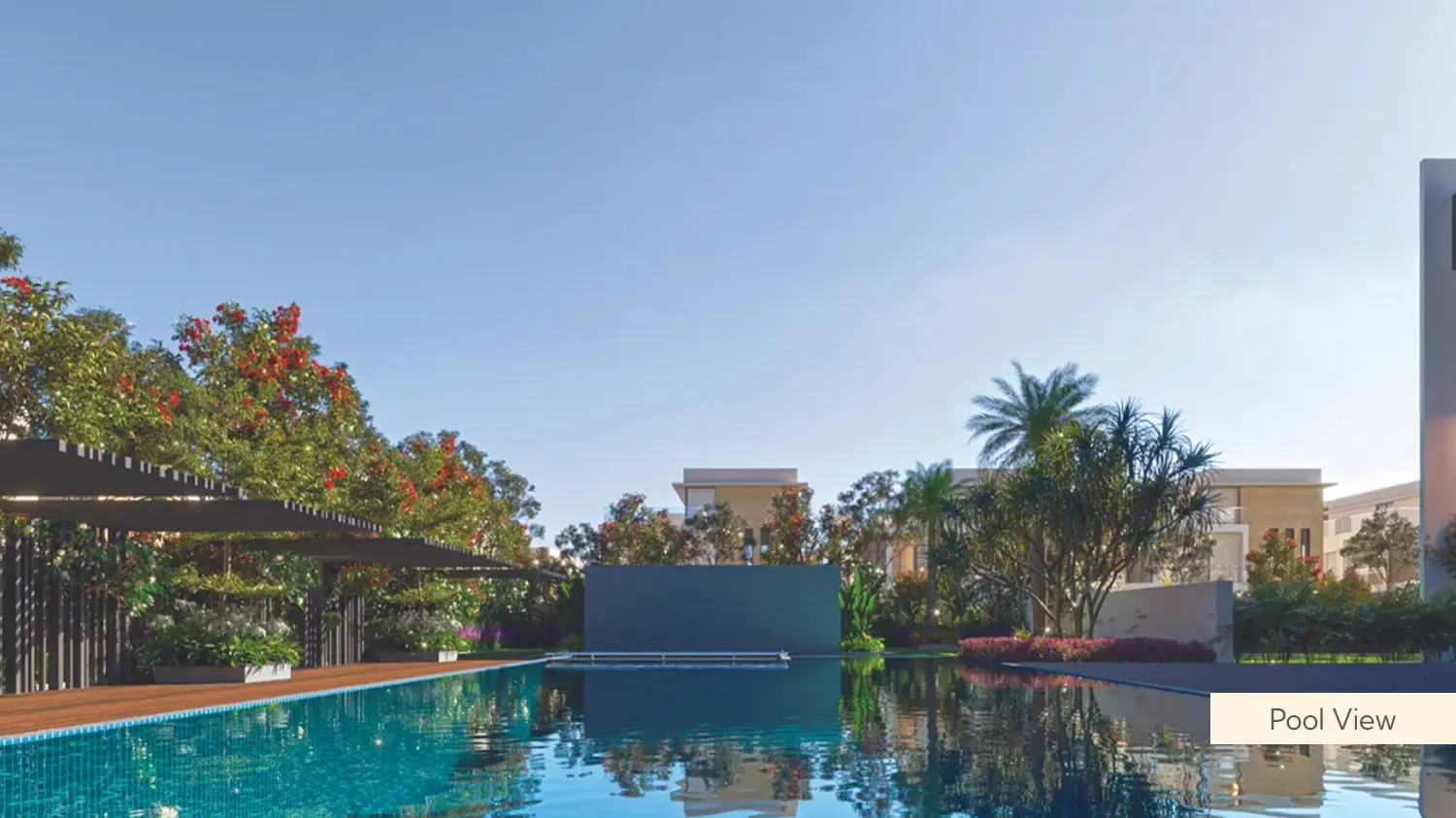 pool view