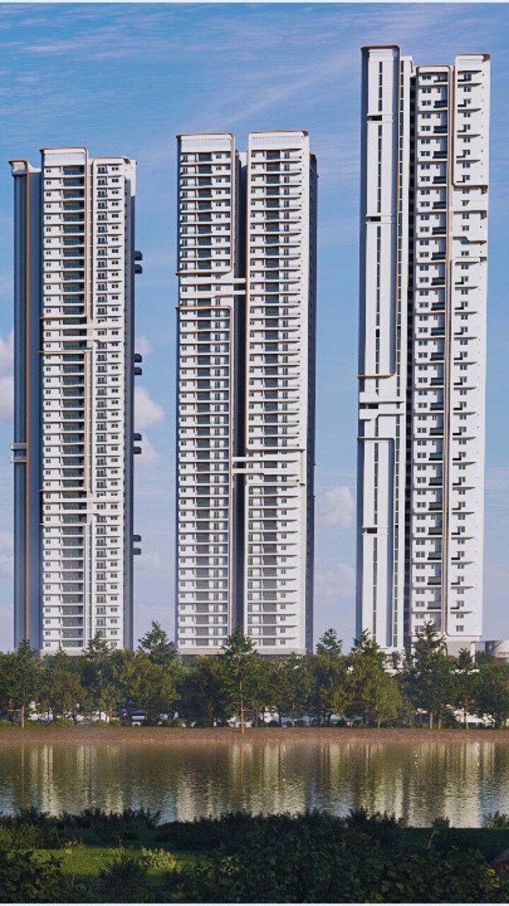 Image hover effect image